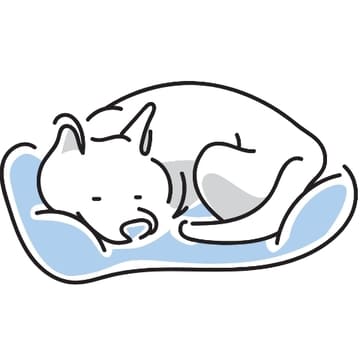 ペット慶弔休暇